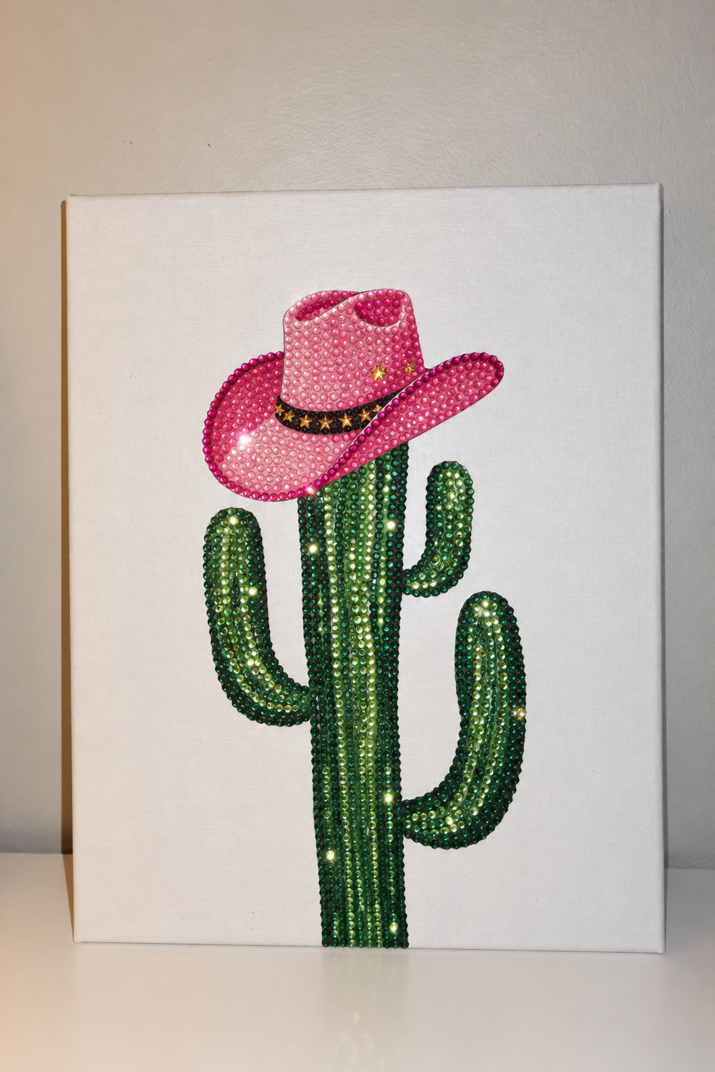 Cowboy Cactus DIY Kit